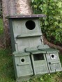 /album/my-local-birding-gallery/first-range-of-nesting-boxes-produced-jpg/